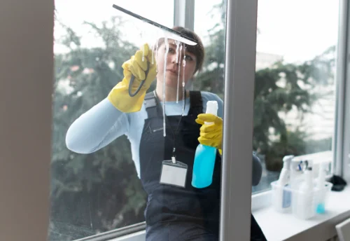 Nettoyage de vitres intérieures et extérieures à Ozouer-le-Voulgis
